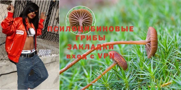 сатива Верхнеуральск