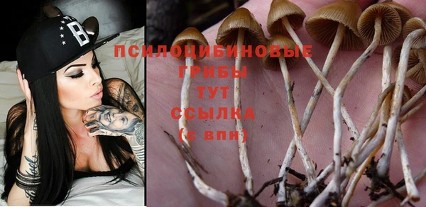прущий лед Верхний Тагил